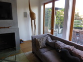 Enlarge photo 17
