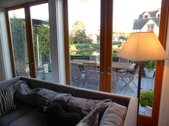 Enlarge photo 18