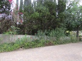 Enlarge photo 10