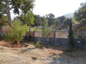 Enlarge photo 3