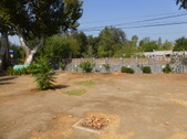 Enlarge photo 18