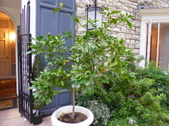 Enlarge photo 24