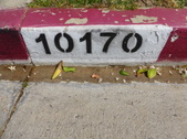 Randa's House