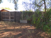 Enlarge photo 20