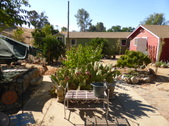 Enlarge photo 15