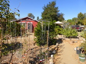 Enlarge photo 18
