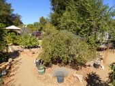Enlarge photo 19