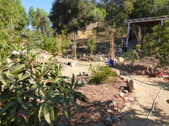 Enlarge photo 21