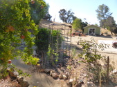 Enlarge photo 23