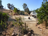Enlarge photo 24