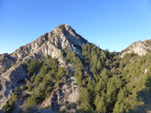 Enlarge photo 20
