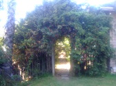 Enlarge photo 10
