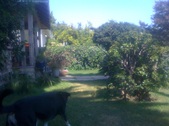 Enlarge photo 13