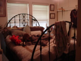 Enlarge photo 21