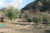 Enlarge photo 7
