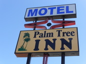 Palm Tree Inn