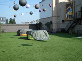 Enlarge photo 7