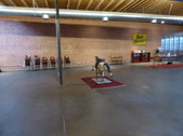 Enlarge photo 13