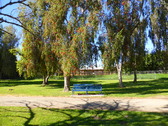 Enlarge photo 2