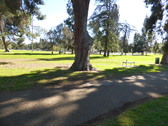 Enlarge photo 19