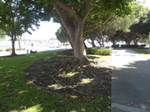 Enlarge photo 18