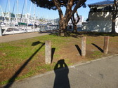 Enlarge photo 17