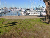 Enlarge photo 19