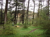 Enlarge photo 18