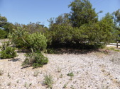 Enlarge photo 18