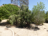 Enlarge photo 2