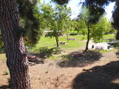 Enlarge photo 17