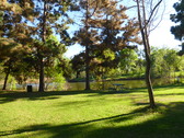 Enlarge photo 18
