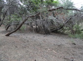 Enlarge photo 15