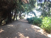 Enlarge photo 23