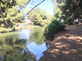 Enlarge photo 19