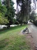 Enlarge photo 13
