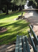 Enlarge photo 17