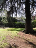 Enlarge photo 20
