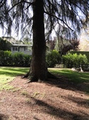 Enlarge photo 21
