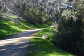 Enlarge photo 13
