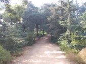 Griffith Park 