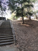 Enlarge photo 18