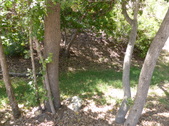 Enlarge photo 15