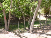 Enlarge photo 17