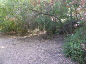 Enlarge photo 14