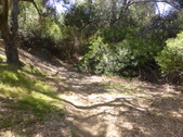 Enlarge photo 18