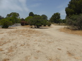 Enlarge photo 23
