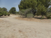 Enlarge photo 24