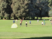 Enlarge photo 21
