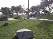 Enlarge photo 16